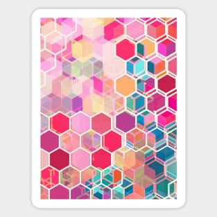 Rainbow Honeycomb - colorful hexagon pattern Magnet